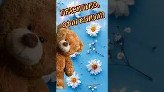 Доброе утро!