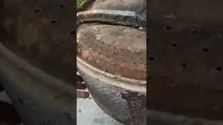 Да я базарю тебе .... тут надо просто заменить подшипники! Мне так сто раз уже делали !)))