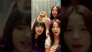 ROSÉ imitating Minion
