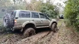 Toyota vs. Jeep