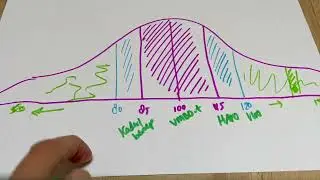 IQ score en onderwijs; hoe zit dat nou?