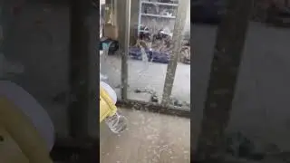 Мыльные пузыри!