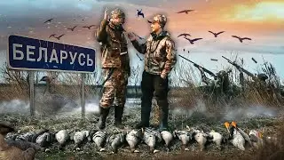 Охота на гуся в Беларуси МОРЕ ГУСЯ