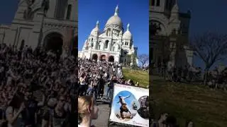 Amazing skill in Pairs Road Show | Don't miss it