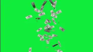 money falling green screen download | free money raining green screen