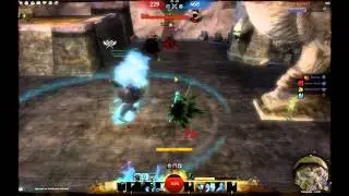 Guild Wars 2 Guardian dps / Spectral Weapon pvp (GW2)
