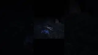 Pig will eat the dead body