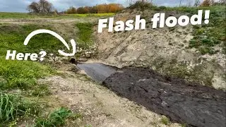Beaver Dam Collapse In to The Pipe ?