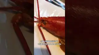 Избавиться от привычки наедаться на ночь = сбалансировать рацион, сделать его полноЦЕННЫМ!🥗