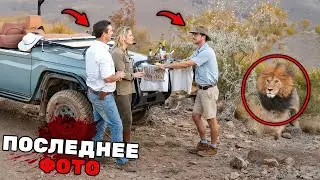 1 Час Самых УЖАСАЮЩИХ Нападений Животных в Африке...