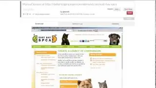 WIN 7 IE 10 Test