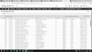 How to find and fix data leaks on NetSuite