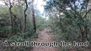 Raw Land | Footage of our 5 acres of before we purchased and before we started to do any work.
