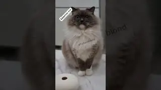 Не хватает витаминов или совести? 