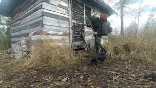 Ночую в БАЛАГАНЕ на БОЛОТЕ.Дебри.Заброшенная изба.Прогулка 24 часа.ПВД.Осень.Туголесье.