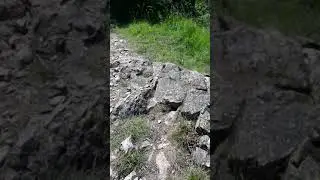Мое любимое место в Швейцарии в горах.Легкий подьем и есть энергия для других занятий.