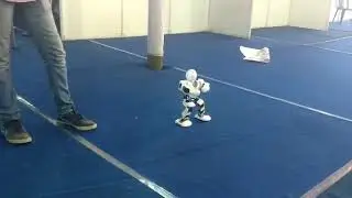 ROBOT performing stunts at IITM