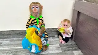 Monkey Kaka cried when saw her dress was ruined by Monkey Mit