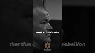 Rebel by WINNING - Jocko Willink #podcast #shorts