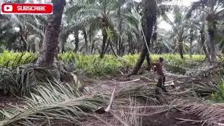 Pekerjaan Di Malaysia #PART5