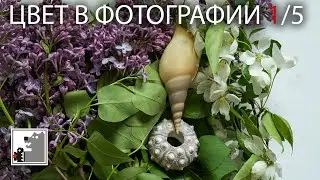 Цвет в фотографии 1/5