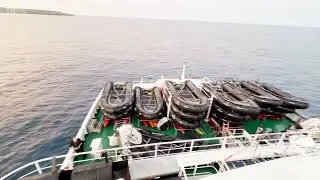 Hantavirus en crucero: identificaron la cepa andina