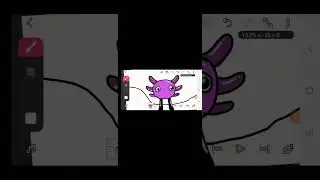 desenhando o kinitoPET