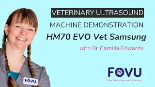 HM70 EVO Vet Samsung - Ultrasound Machine Demo by Dr Camilla Edwards