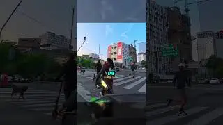 Der Biker traf einen klugen Fußgänger 😁