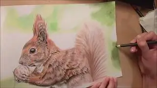 WATCH ME DRAW 31 - A Squirrel