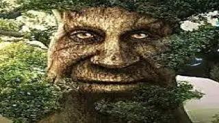 🌲