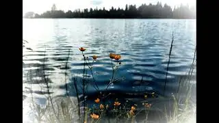 Ю  Орлицкий  Надпись в Евангелие  