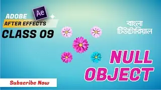 Null Object in After Effects | Class-8 | After Effects Bangla Tutorial