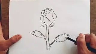 cara menggambar bunga simple dan sederhana.
