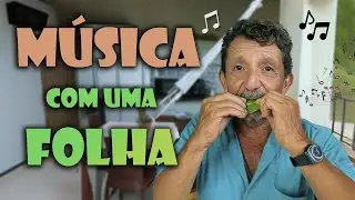 ELE TOCA MÚSICA COM UMA FOLHA DE ÁRVORE!!