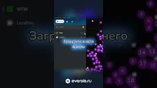 Растры в EverGIS