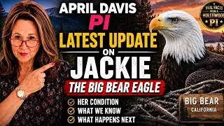 🦅 Jackie the Big Bear Eagle: Latest Update on Her Condition 