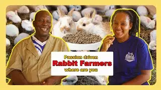 Do this and cashout big in your rabbit farming business......