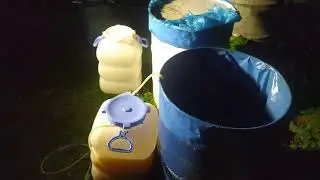 ставлю зерновую брагу на кодзи, 3 недели брожения, часть 2