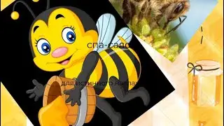 Такого вы ещё не видели Поймали Большой Рой Пчёл