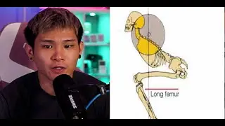 Long femur leg press experiment