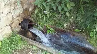 вэрэшбашым чишмэлэре