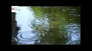 rain falling on the water of a lake