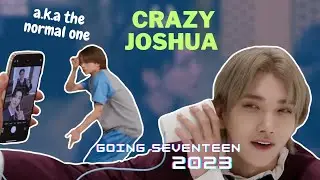 Crazy Joshua a.k.a the normal one in SEVENTEEN