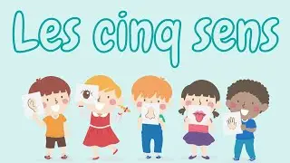 les cinq sens/ learn the five senses in french