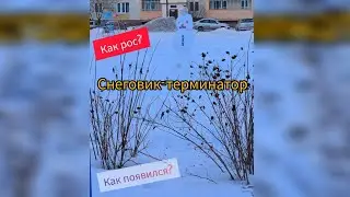 Брутальный снеговик. История жизни. 