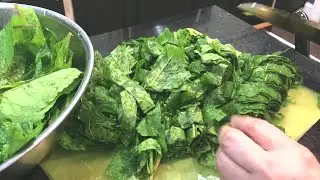 Southern Poke Sallet (Salad) Country
