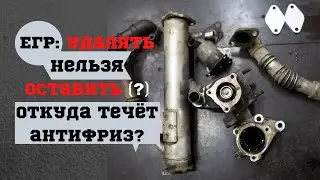 Уходит антифриз: удалить и отключить ЕГР