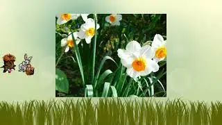 Frohe Ostern 24
