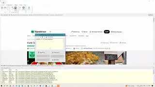 Scraping Emails from TripAdvisor using WebHarvy